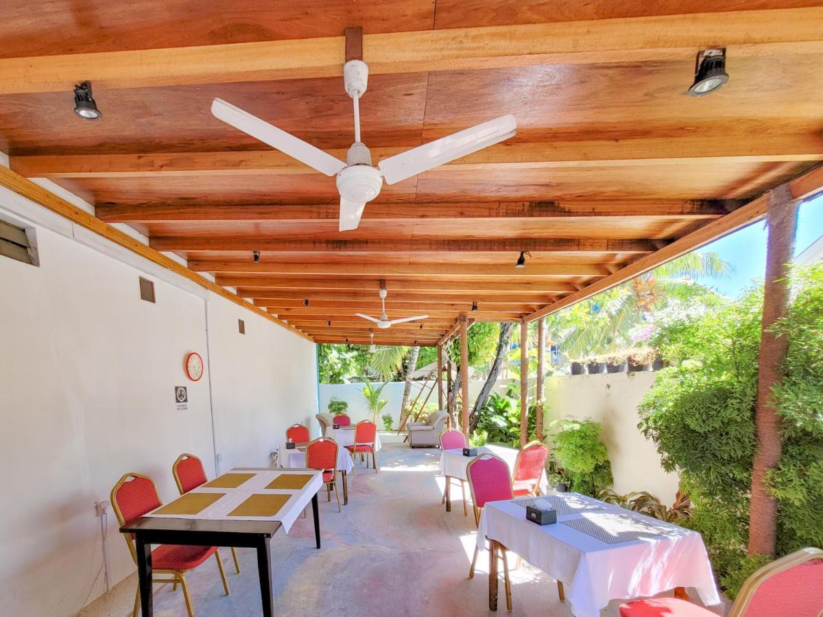 Alesara Guest House Тодду Экстерьер фото